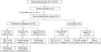 Prenatal diagnosis and clinical management of cardiac rhabdomyoma: a single-center study